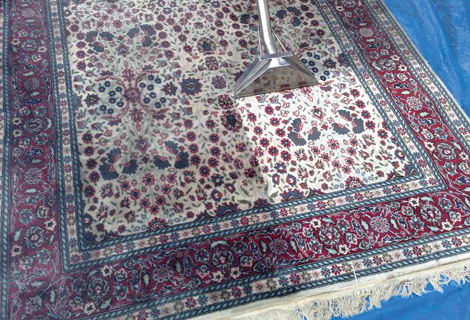 carpet cleaning Seaford-1