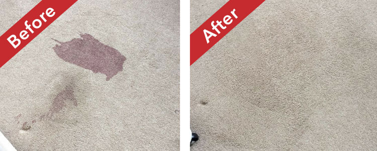 commercial-carpet-cleaning-before-after-img-2